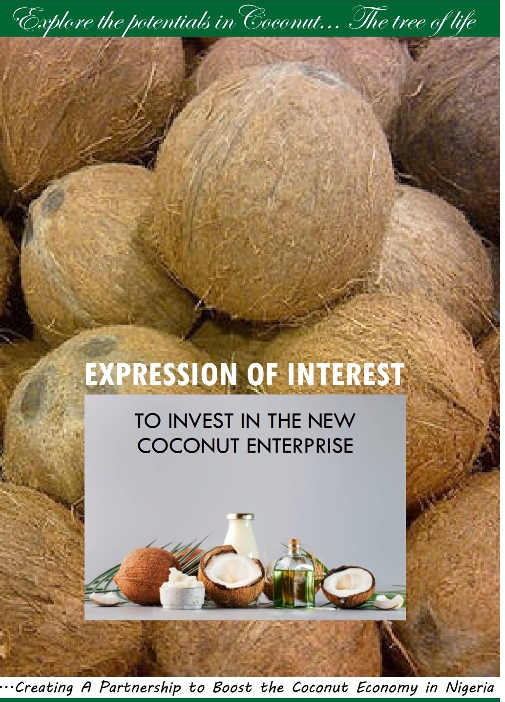 Coconut Plantation Establishment & Management